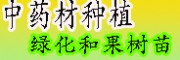 黃精、辣木、重樓等中藥材的種子培育