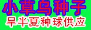 宣威小草烏、旱半夏中藥材種植基地