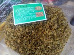 天麻種植戶_天麻產(chǎn)地供應(yīng)商_昭通天麻價(jià)格圖2