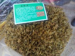 天麻種植戶_天麻產(chǎn)地供應(yīng)商_昭通天麻價(jià)格圖3