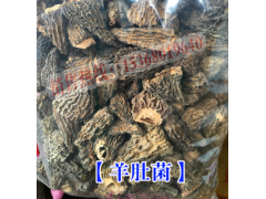 云南羊肚菌160元/袋  每袋100克_云南名貴中藥材圖2