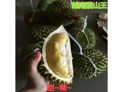 口感極佳_果型勻稱云南貓山王榴蓮圖3