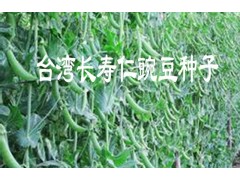 長(zhǎng)壽仁豌豆@云南豌豆莢種子銷售價(jià)格087164155848圖2