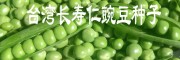 【長壽仁豌豆】