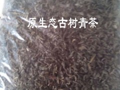 古樹(shù)茶完整單株生散茶批發(fā)價(jià)格圖2