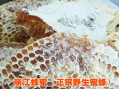 |麗江蜂蜜基地批發(fā)|蜂產(chǎn)品供應(yīng)批發(fā)|圖2