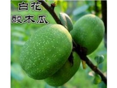 保山白花酸木瓜批發(fā)價格|龍陵白花酸木瓜什么價格|2018白花酸木瓜什么價格圖3