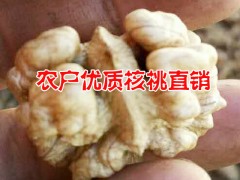 ★麗江核桃仁批發(fā)★玉龍核桃仁價(jià)格★★麗江核桃產(chǎn)地★圖2