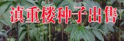 云南滇重樓基地(評(píng)價(jià))