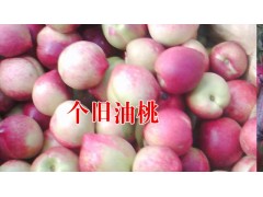 云南油桃基地|2016產(chǎn)地油桃批發(fā)價(jià)格*64155848圖2