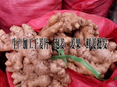 哪里的干姜片便宜|哪里生  產(chǎn)加工干姜片*屏邊泡姜生產(chǎn)商*出口干姜圖3