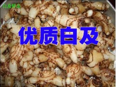 云南白芨信息_版納白芨產(chǎn)品供求信息圖2