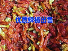 哪里的干辣椒低價(jià)&產(chǎn)地云南干辣椒價(jià)格*干辣椒種植戶銷售信息400-6633-626圖3