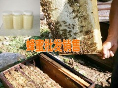 云南蜂蜜批發(fā)銷售|蜂蜜供應商: 087164155848圖1