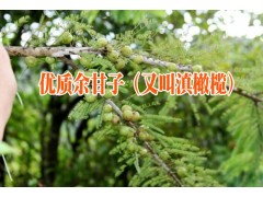 余甘子中藥材的產(chǎn)地#余甘子中藥材報(bào)價(jià)圖2