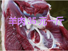 昆明山羊羊苗*昆明網(wǎng)上買羊肉&羊肉市場價(jià)格(35元一斤)圖3