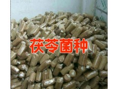 云南省茯苓菌種哪里有？圖3