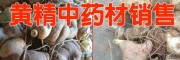 云南黃精根莖價(jià)格(收購(gòu)公司報(bào)價(jià))