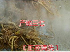 云南文山正品剪口超細(xì)粉供應(yīng)|一極二年三七花900公斤左右銷(xiāo)售圖1