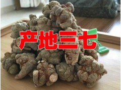 正宗20頭超細(xì)粉批發(fā)銷售@云南三七[20_60頭]價格播報圖1