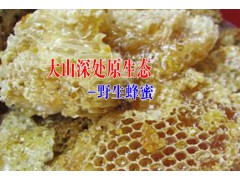 金平大山深處原生態(tài)特產(chǎn)_紅河金平特產(chǎn)圖2