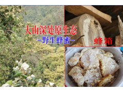 云南百花蜜養(yǎng)殖基地&云南好的蜂蜜在哪里&圖3