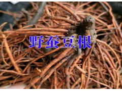 適合云南種植的野蠶豆根@產(chǎn)地野蠶豆信息|野蠶豆種植需多少時(shí)間圖3