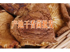 云南大理特產(chǎn)山珍原味供應商圖2