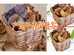 云南大理特產(chǎn)山珍原味供應商圖3