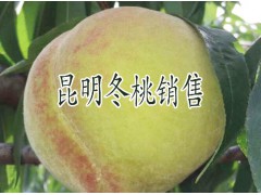 安寧冬桃尋合作伙伴%昆明冬桃投資招商信息圖3