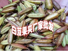 2019年鮮白芨價(jià)格%白芨種苗價(jià)圖2