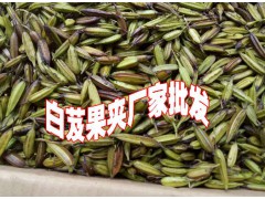 2019年鮮白芨價(jià)格%白芨種苗價(jià)圖3