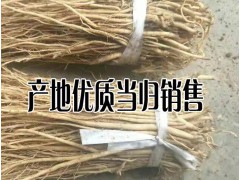 陜西/甘肅/湖北當歸批發(fā)種苗%今日當歸種苗銷售批發(fā)多少一斤圖3