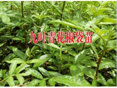 祿豐苗木種植園產品供求信息圖2