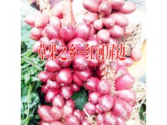 草果價(jià)格?草果價(jià)格統(tǒng)貨多少錢圖2