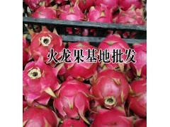 [火龍果價(jià)格]火龍果多少錢圖3