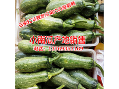 青碗豆多少錢(qián)#優(yōu)質(zhì)青碗豆批發(fā)價(jià)格圖3