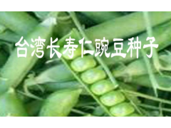 屏邊哪里有長(zhǎng)壽仁豌豆銷售?【長(zhǎng)壽仁豌豆】種子多少一斤?圖2