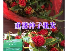 紅河/大理/保山七葉一枝花多少錢?大理振軒生物科技有限公司圖2