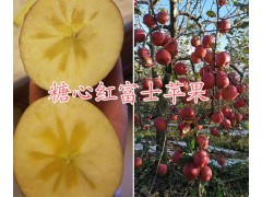 昆明周邊糖心紅富士蘋果批發(fā)商/曲靖糖心紅富士蘋果批發(fā)供應圖2