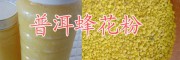 云南土蜂花粉、土蜂蜜產(chǎn)品銷售商-普洱蜂蜜