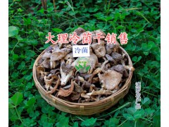 雞足山冷菌干供應(yīng)-云南松茸干批發(fā)-大理二級松茸干廠家圖1