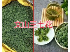 3年的三七花的價格#文山市三七花銷售基地供應(yīng)圖2