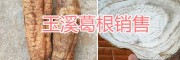 玉溪生態(tài)野葛根、葛根干片銷售，干葛根批發(fā)