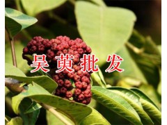 昆明哪里賣(mài)通光散干貨？吳萸銷(xiāo)售價(jià)格&大紅袍*中藥大貨圖2