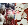 天花粉加工廠-天花粉生產(chǎn)基地/云南天花粉供應(yīng)