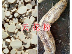 天花粉加工廠-天花粉生產(chǎn)基地/云南天花粉供應圖2