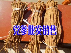 黨參成品出售-貴州黨參價(jià)格/畢節(jié)黨參供應(yīng)圖2