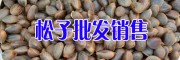 貴州威寧松子價(jià)格&貴州核桃仁哪有賣(mài)#畢節(jié)核桃米