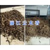 麗江云木香現(xiàn)貨出售/云南云木香價格-400-6633-626